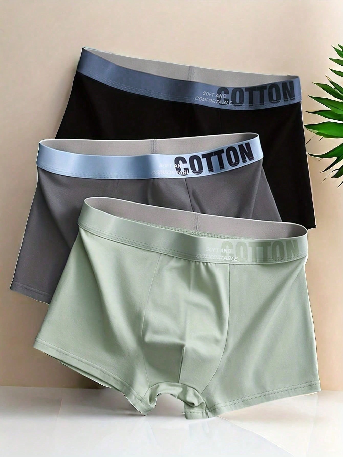 Boxer COTTON X3